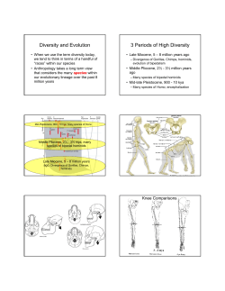 Diversity and Evolution 3 Periods of High Diversity