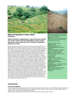 Natural Vegetative Strips (NVS)