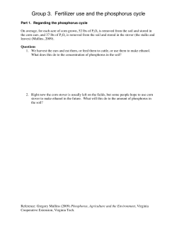 Group 3. Fertilizer use and the phosphorus cycle