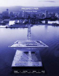 prospect pier - The New St Pete Pier