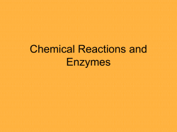 Chemical Reactions - Lemon Bay High School