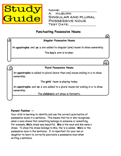 SINGulAR AND PluRAl POSSESSIVE NOuS