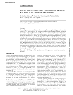 Somatic Mutation of the CD95 Gene in Human B Cells as a Side