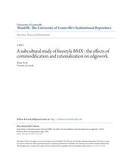 A subcultural study of freestyle BMX : the effects of