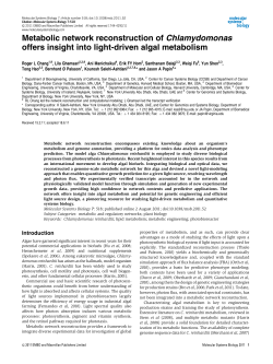 Metabolic network reconstruction of Chlamydomonas offers insight