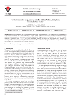 Frontonia anatolica n. sp., a new peniculid ciliate