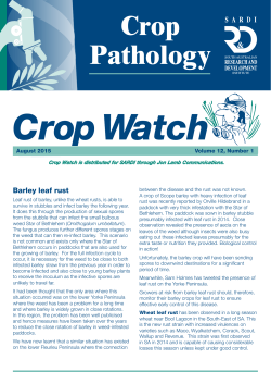 Crop Watch newsletter
