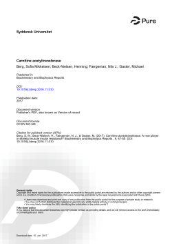 Syddansk Universitet Carnitine acetyltransferase Berg, Sofia