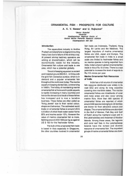 ORNAMENTAL FISH - PROSPECTS FOR CULTURE