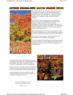 Page 1 of 5 Autumn Colors - How Leaves Change Color 10/4/2004