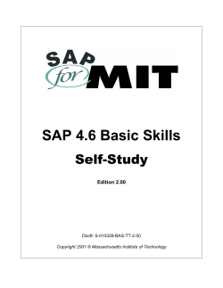 SAP 4.6 Basic Skills