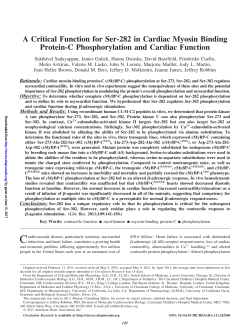A Critical Function for Ser-282 in Cardiac Myosin Binding Protein