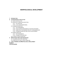 morphological development - E