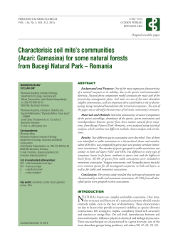 Fulltext: english,