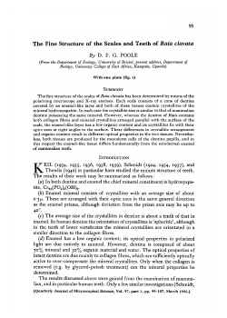 The Fine Structure of the Scales and Teeth of Raia clavata By DFG