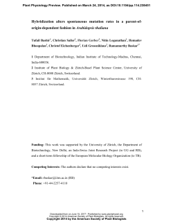 Hybridization alters spontaneous mutation rates