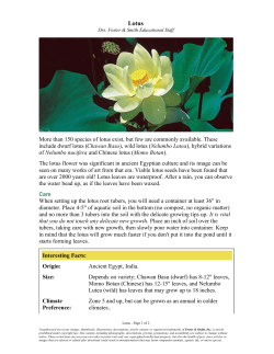 Interesting Facts: Origin: Ancient Egypt, India. Size: Depends on