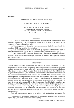 STUDIES ON THE YEAST NUCLEUS I. THE ISOLATION OF