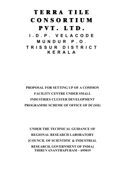 TERRA TILE CONSORTIUM PVT. LTD.