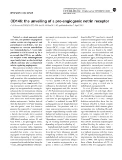 CD146: the unveiling of a pro-angiogenic netrin receptor