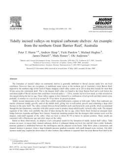 Tidally incised valleys on tropical carbonate shelves: An