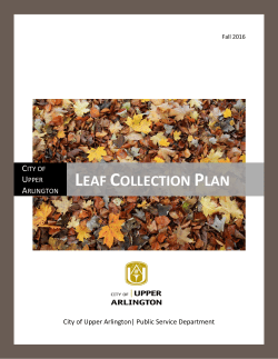Leaf Collection Plan