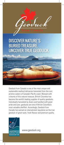 Geoduck from Canada Suppliers Directory, English