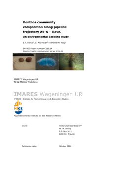 imares - Wageningen UR E-depot