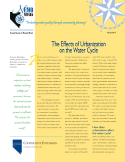 The Effects of Urbanization on the Water Cycle
