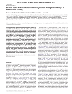 Striatum--Medial Prefrontal Cortex Connectivity Predicts
