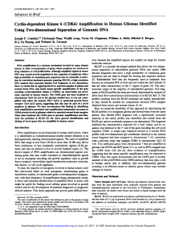 (CDK6) Amplification in Human Gliomas Identified