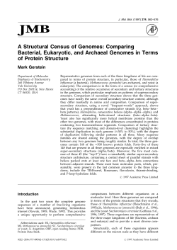 A Structural Census of Genomes: Comparing Bacterial, Eukaryotic