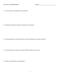 Cellular Respiration Worksheet 1