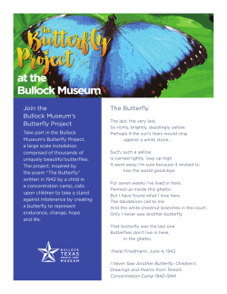 Bullock Museum Butterfly Project - The Bullock Texas State History