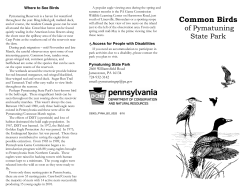Common Birds of Pymatuning State Park, Pennsylvania