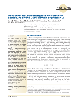 protein G - The University of Sheffield