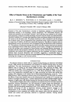 Effect of Osmotic Stress on the Ultrastructure and