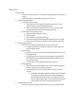 Chapter 8 Notes I. Energy and Life 1. Energy is the ability to do work