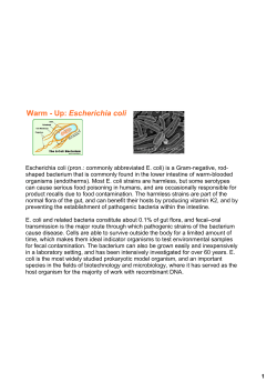 Chapter 25 Notes