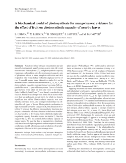 A biochemical model of photosynthesis for mango leaves: evidence