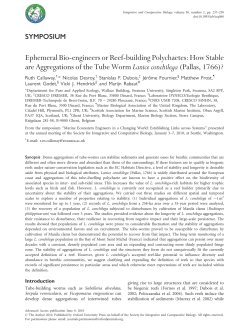 Ephemeral Bio-engineers or Reef-building