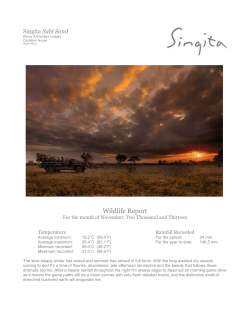 Singita Sabi Sand Wildlife Report November 2013