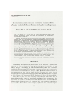 Spermatozoan numbers and testicular characteristics of male white