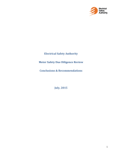 Meter Safety Due Diligence Review