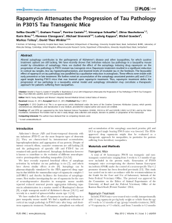 Rapamycin Attenuates the Progression of Tau Pathology in P301S