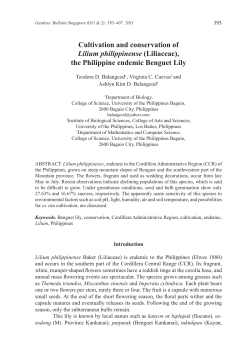 Cultivation and conservation of Lilium philippinense