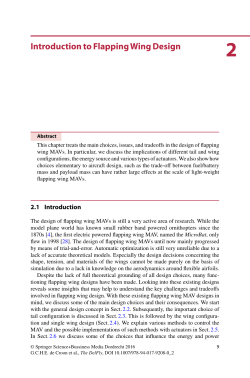 Introduction to Flapping Wing Design
