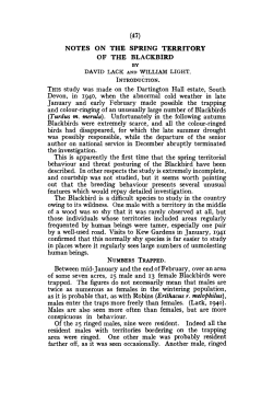 NOTES ON THE SPRING TERRITORY OF THE BLACKBIRD THIS