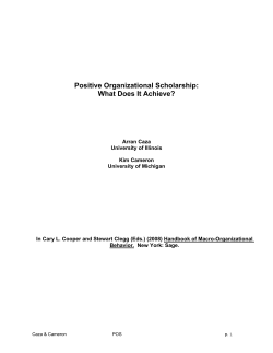 Positive Organization Scholarship: What does it achieve