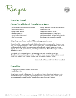 Featuring Fennel Cheese Tortellini with Fennel Cream Sauce